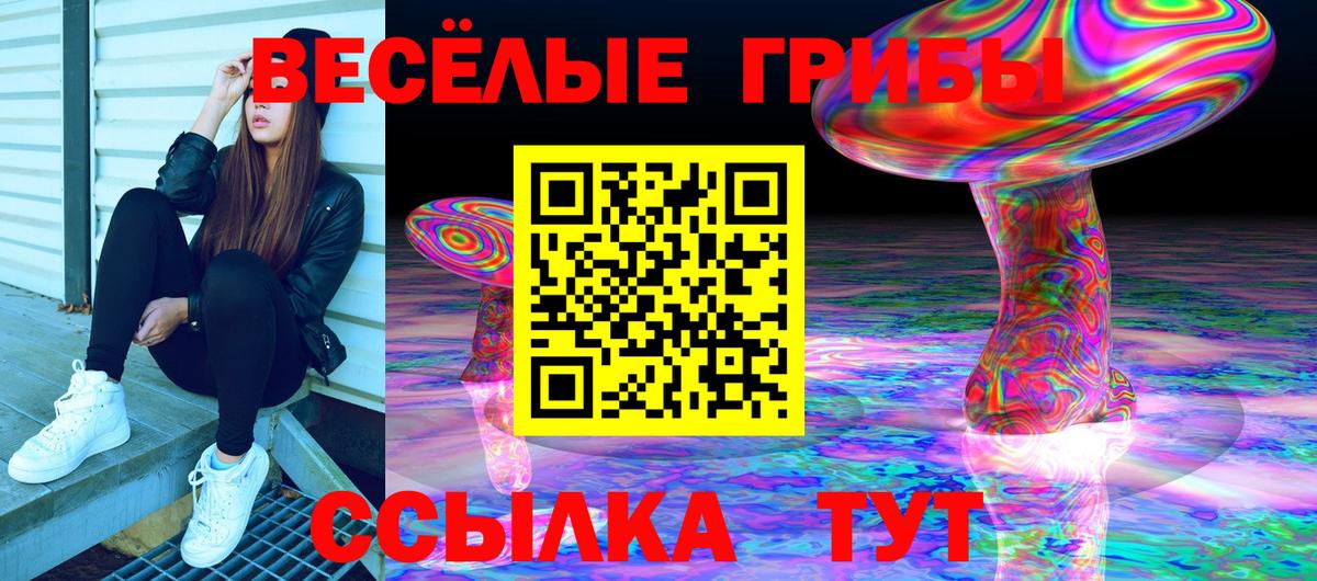 Псилоцибиновые грибы MAGIC MUSHROOMS Коломна